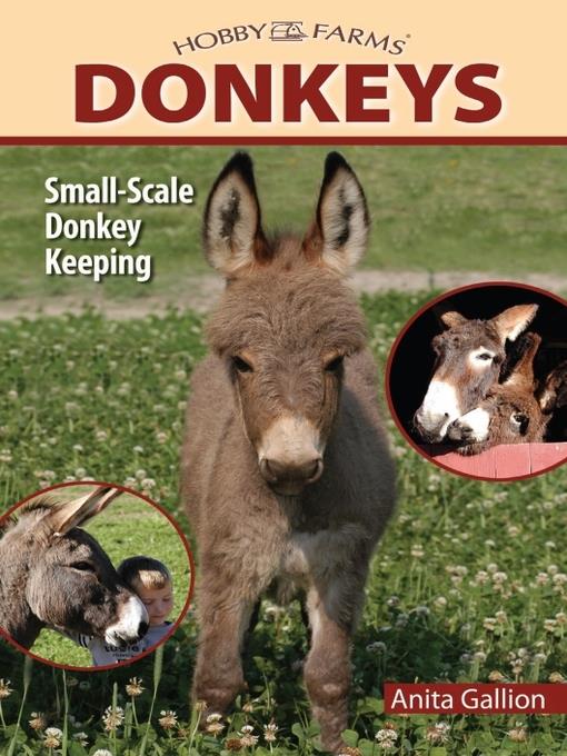 Donkeys