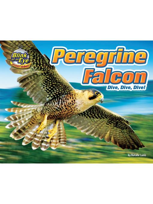 Peregrine Falcon