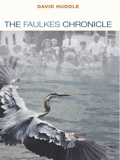 The Faulkes Chronicle