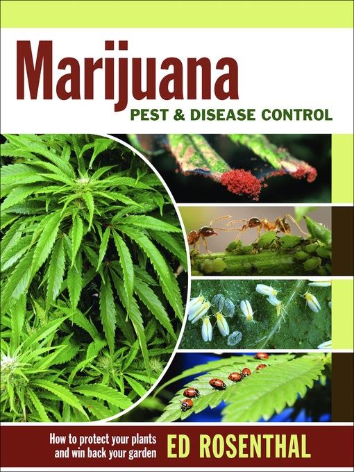 Marijuana Pest and Disease Control