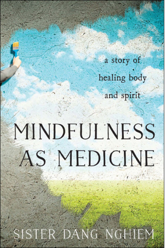 Mindfulness as Medicine