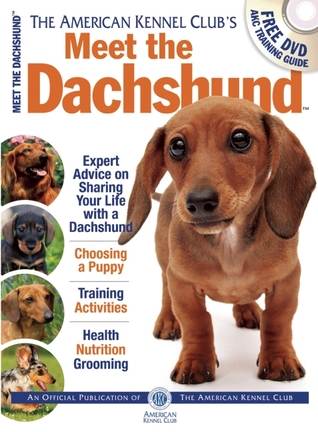 Meet the Dachshund