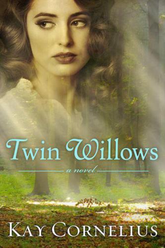 Twin willows : a novel