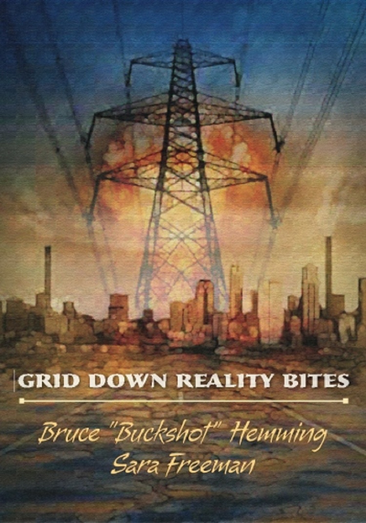 Grid down reality bites