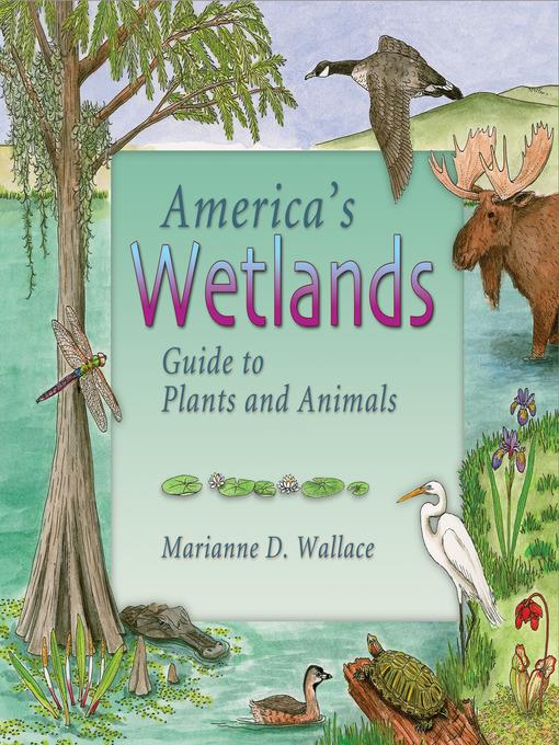 America's Wetlands