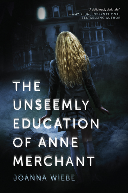 The Unseemly Education of Anne Merchant