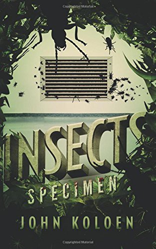 Insects: Specimen