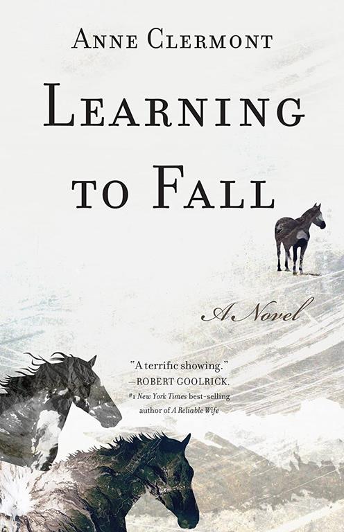 Learning to Fall: A Novel