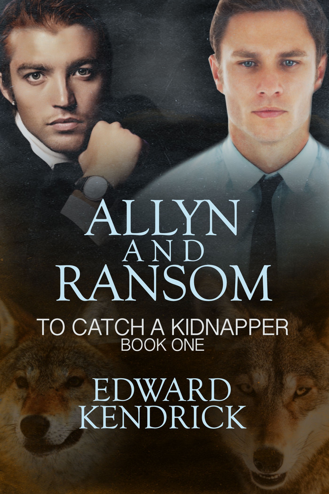 Allyn and Ransom (To Catch a Kidnapper #1)