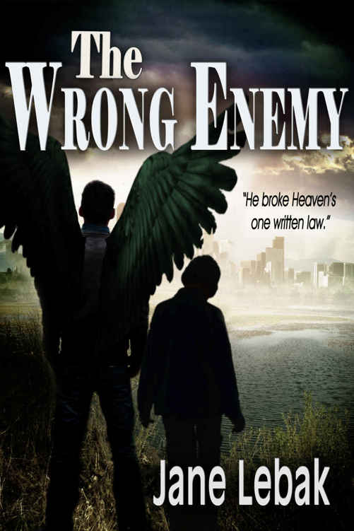 The Wrong Enemy (Seven Archangels)