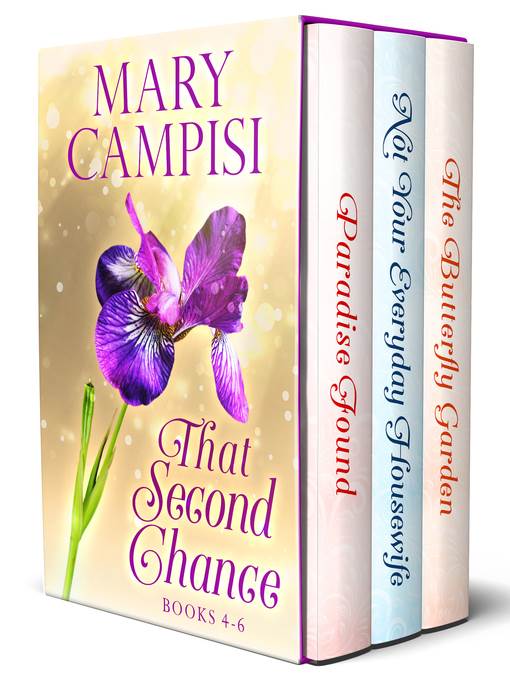 That Second Chance Boxed Set, Volume 2