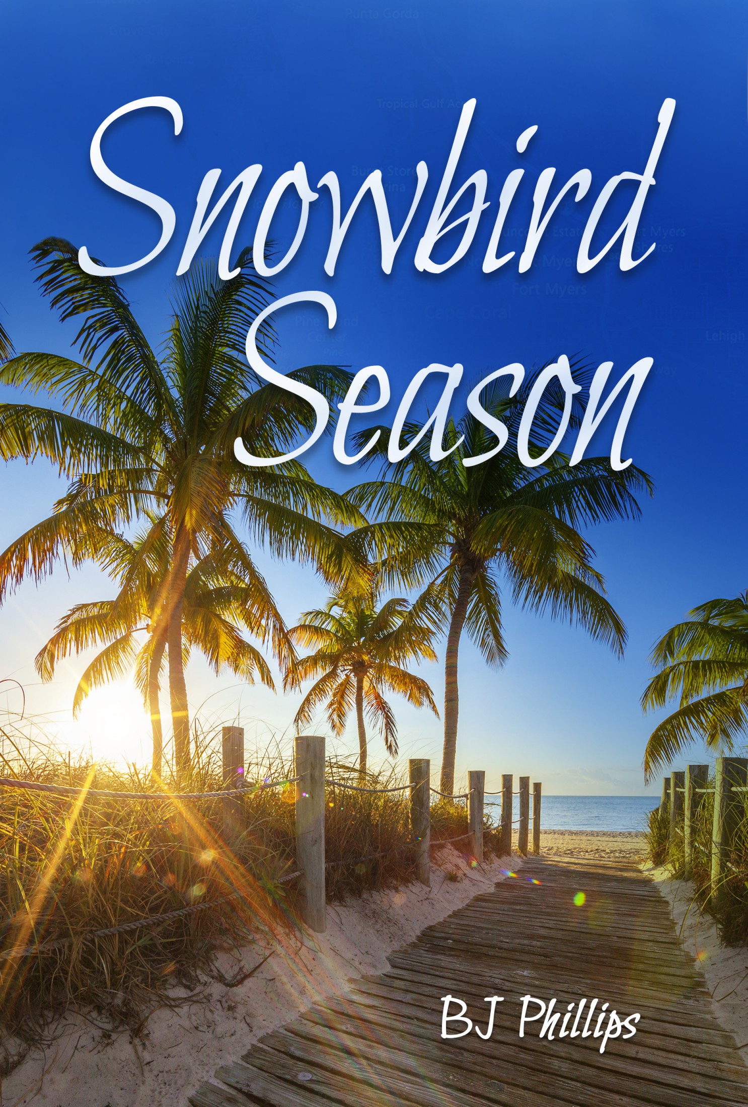 Snowbird Season (Seasons) (Volume 2)