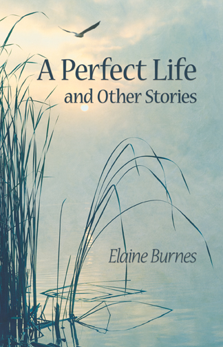 A Perfect Life nd Other Stories