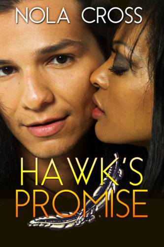 Hawk's Promise
