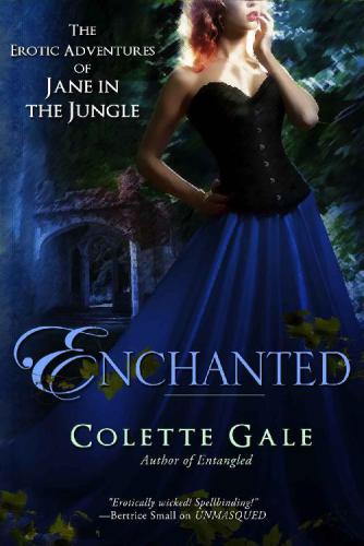 Enchanted: A New Love