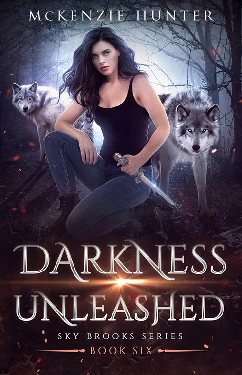 Darkness Unleashed (Sky Brooks Series) (Volume 6)