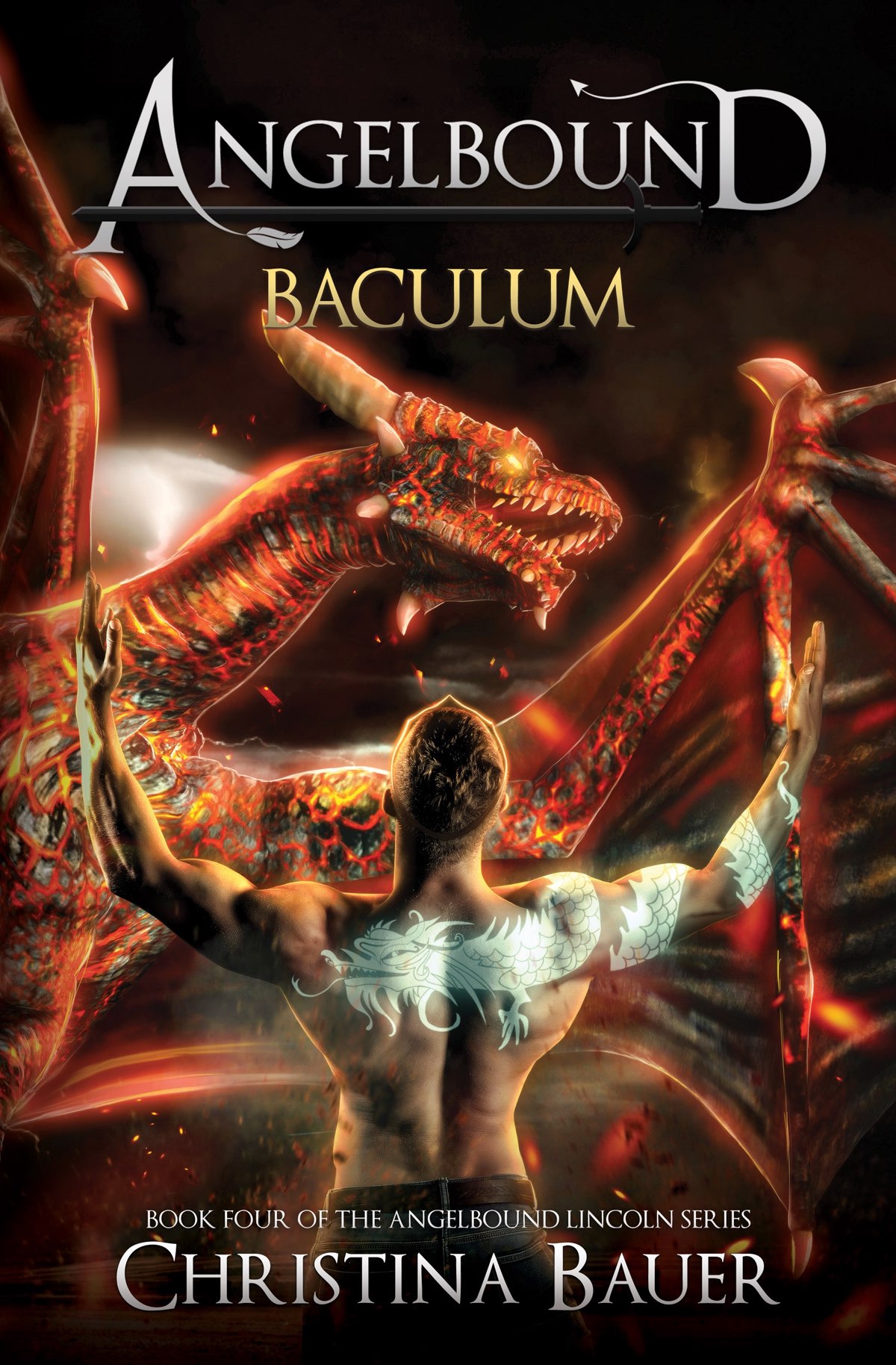 Baculum