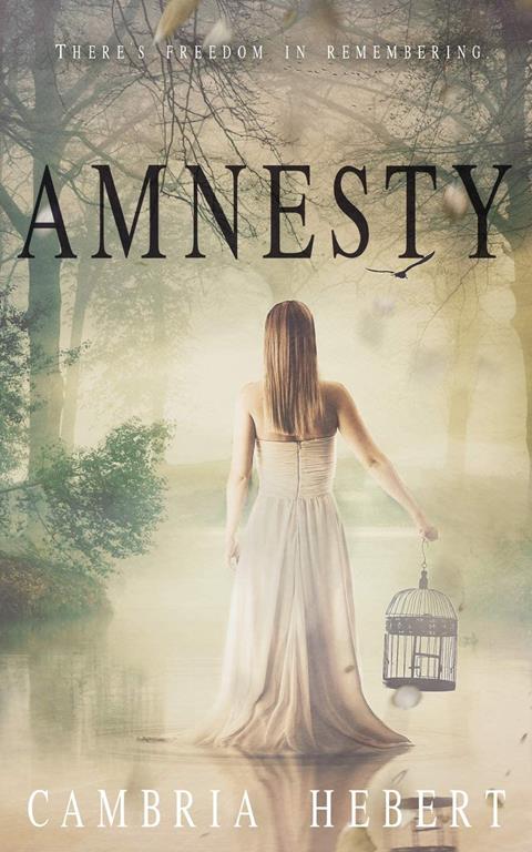 Amnesty: Amnesia duet book 2