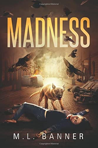 Madness (Madness Chronicles) (Volume 1)