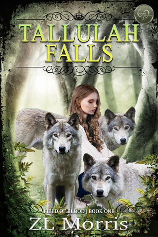 Tallulah Falls