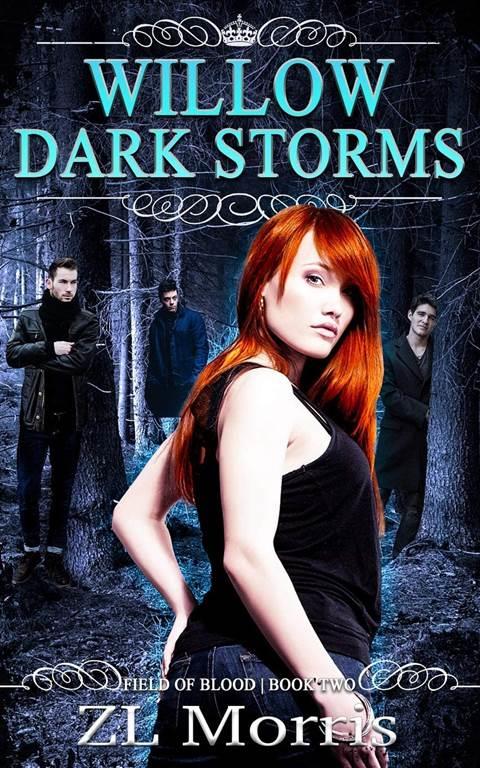 Willow Dark Storm (The Field of Blood)
