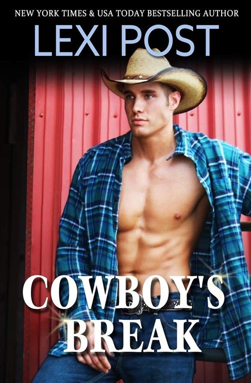 Cowboy's Break (Poker Flat Series)