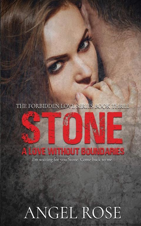 Stone: A Love without Boundaries (The Forbidden Love Series)