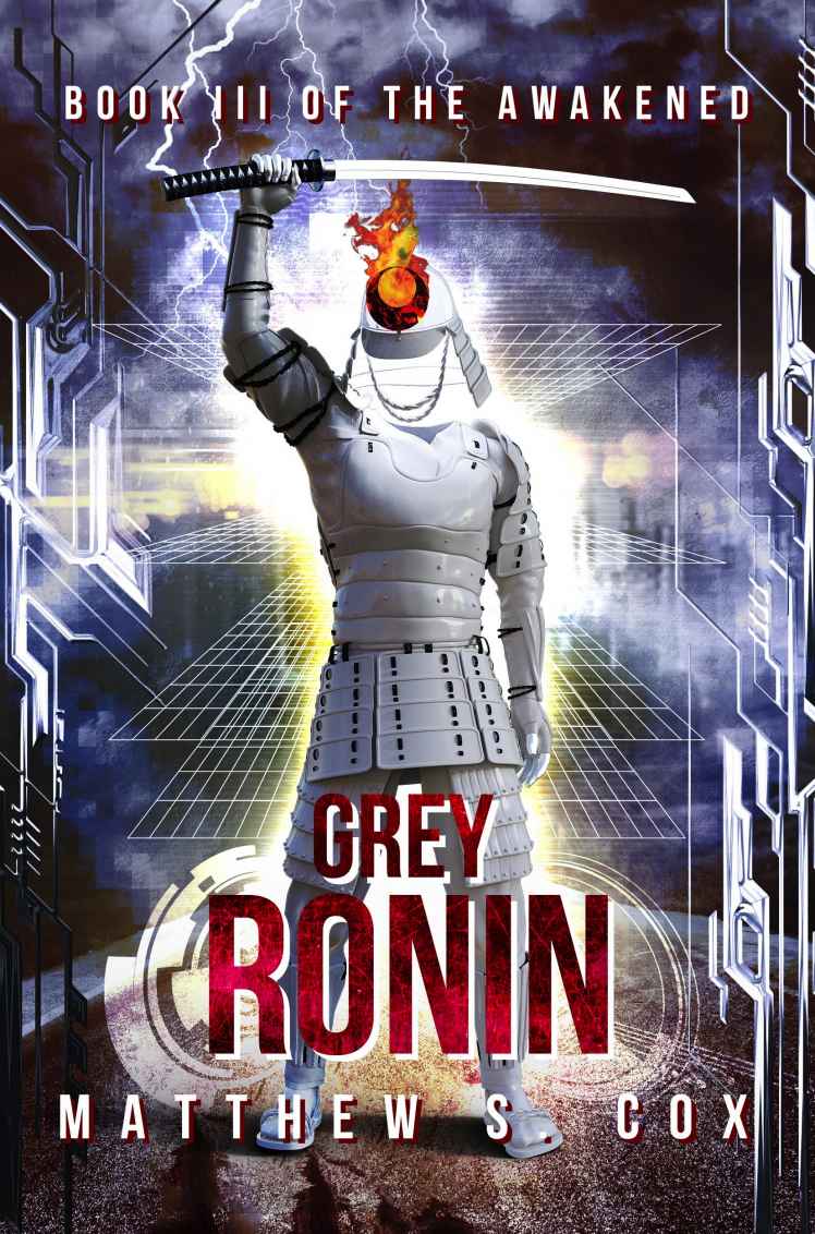 Grey Ronin