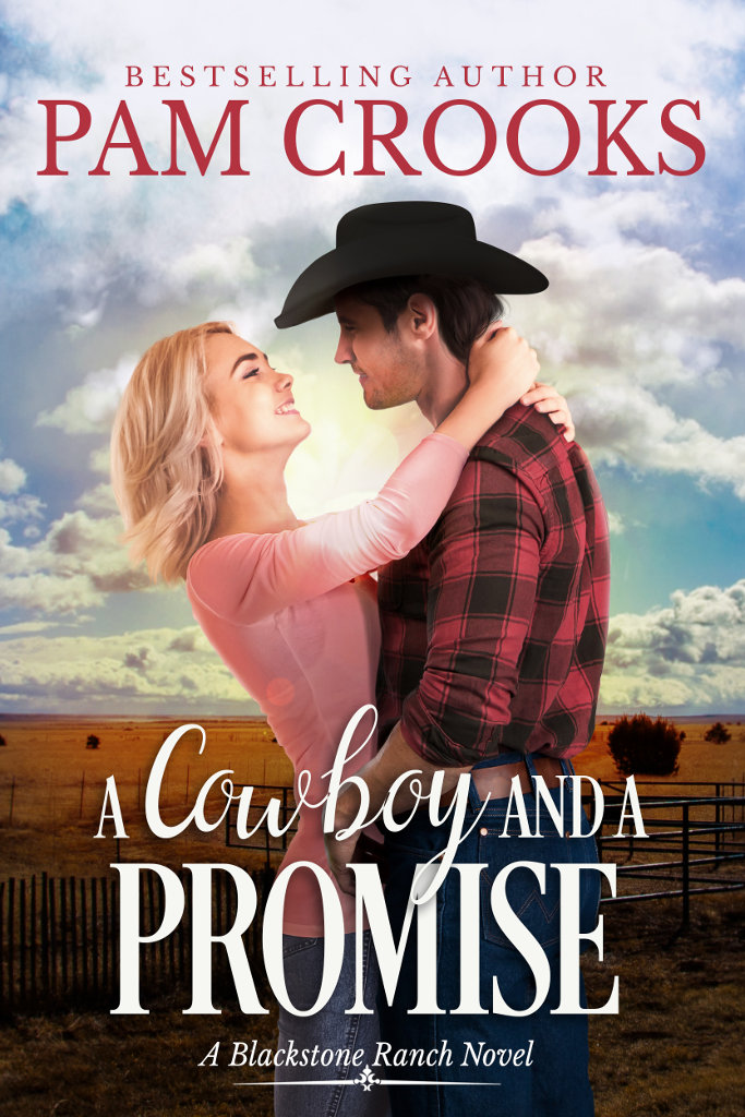 A Cowboy and A Promise