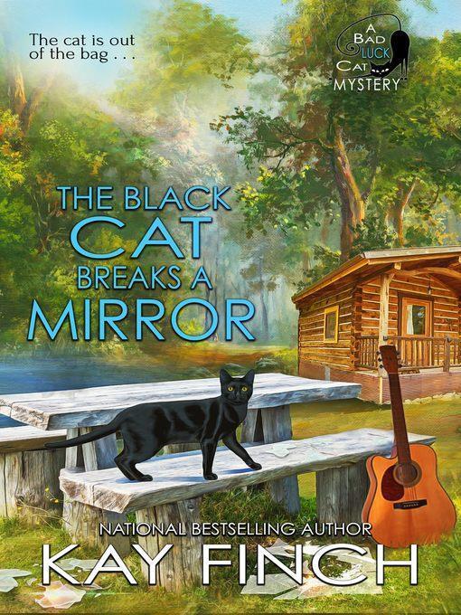 The Black Cat Breaks a Mirror