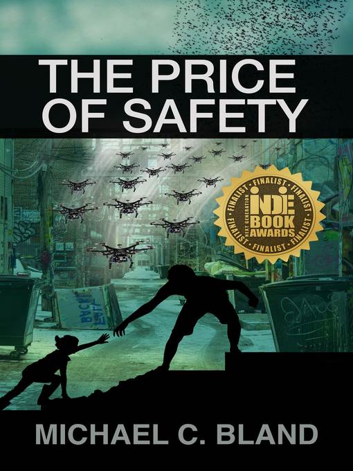 The Price of Safety