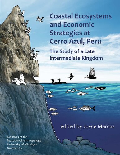 Coastal Ecosystems and Economic Strategies at Cerro Azul, Peru : The Study of a Late Intermediate Kingdom.