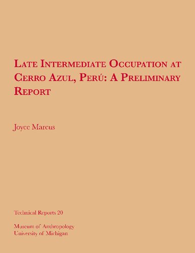 Late intermediate occupation at Cerro Azul, Perú : a preliminary report