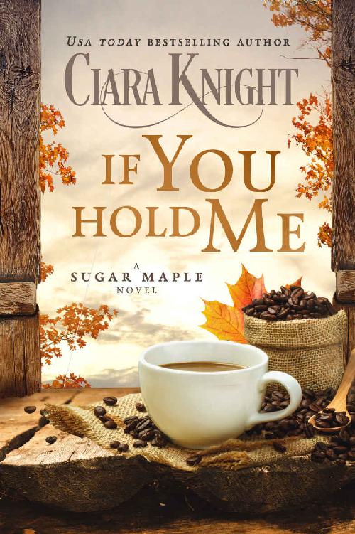 If You Hold Me (A Sugar Maple Novel Book 4)