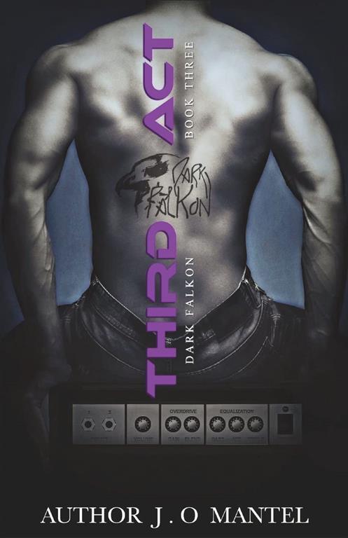 Third Act (Dark Falkon) (Volume 3)