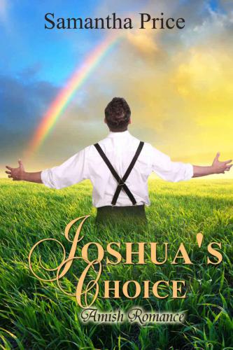 Joshua's Choice