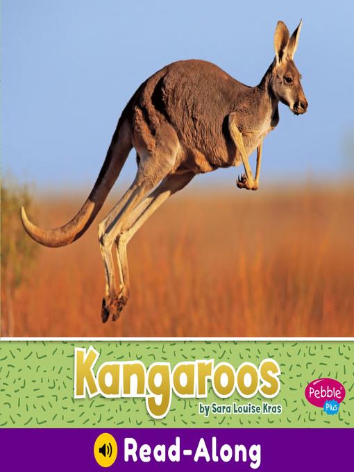 Kangaroos