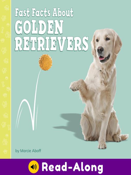 Fast Facts About Golden Retrievers