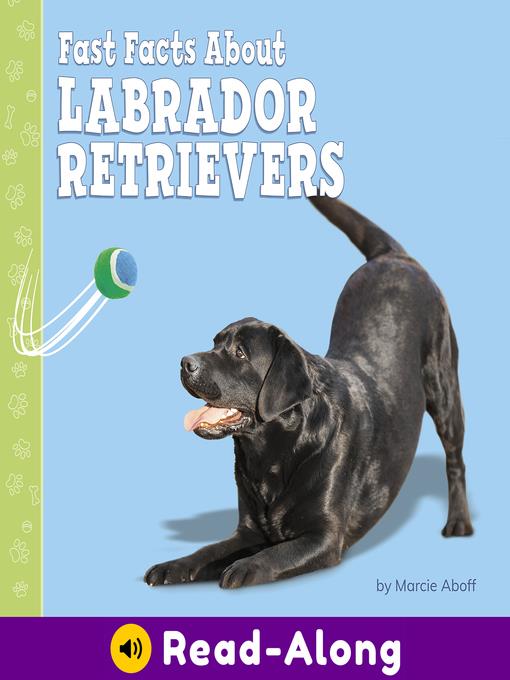 Fast Facts About Labrador Retrievers