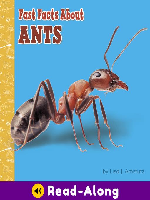 Fast Facts About Ants