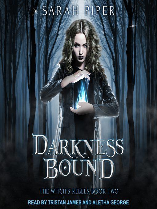 Darkness Bound--A Reverse Harem Paranormal Romance