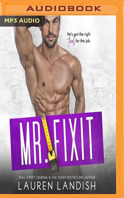 Mr. Fixit (Irresistible Bachelors)