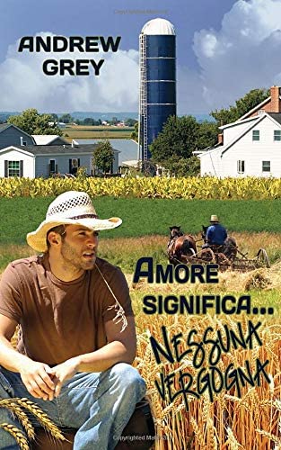 Amore significa nessuna vergogna (Italian Edition)
