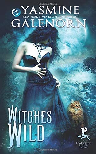 Witches Wild (Bewitching Bedlam) (Volume 4)