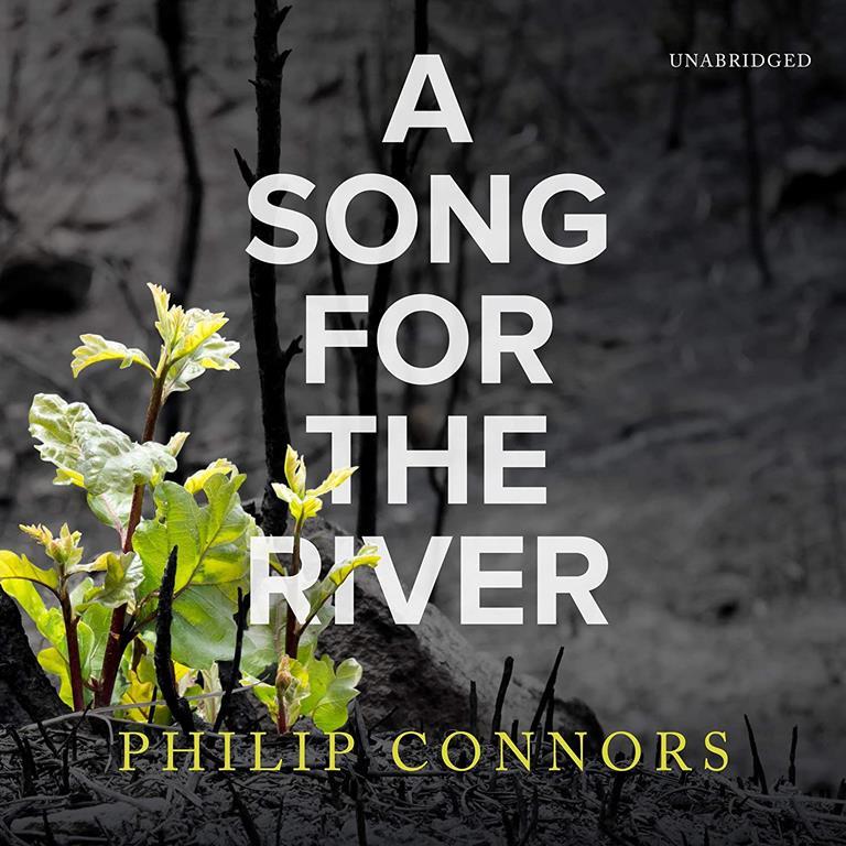 A Song for the River