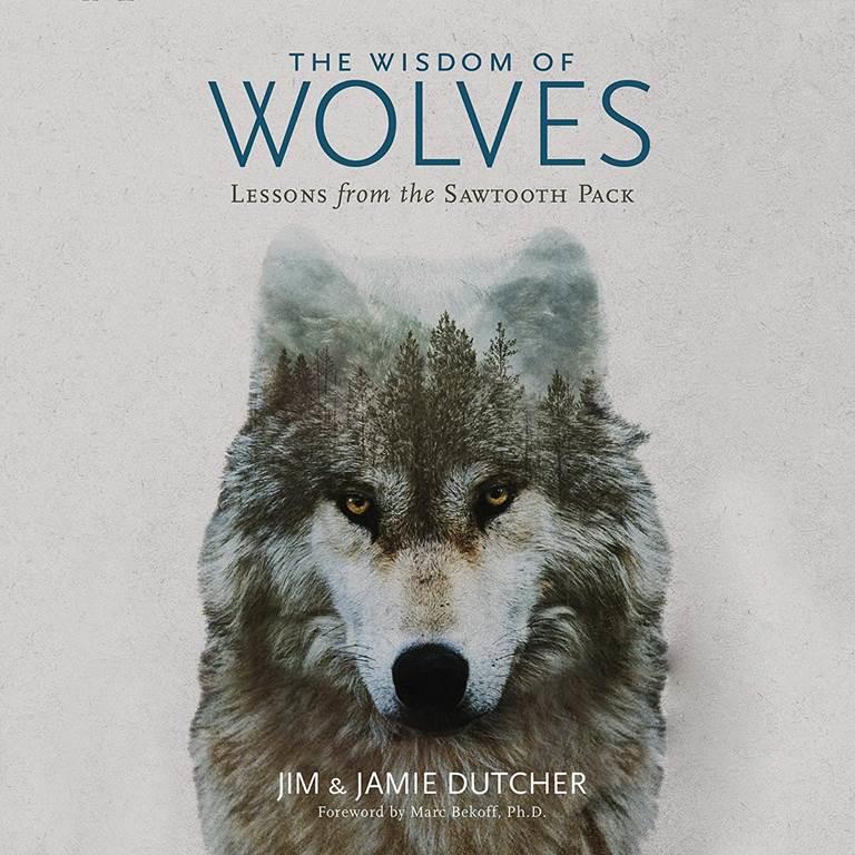 The Wisdom of Wolves: Lessons from the Sawtooth Pack