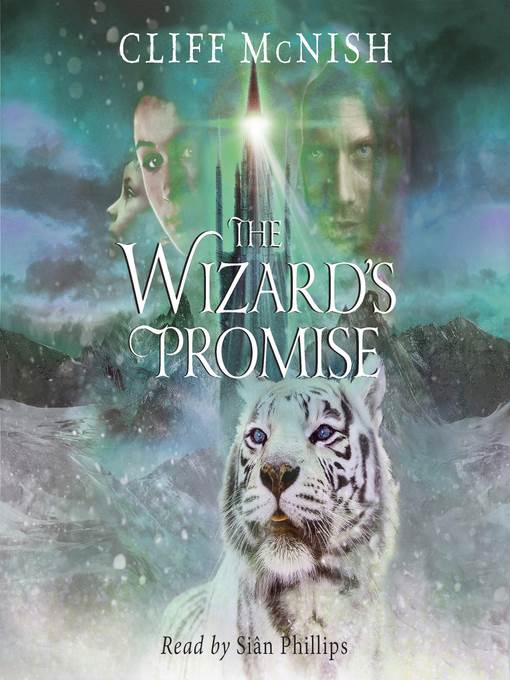 The Wizard's Promise