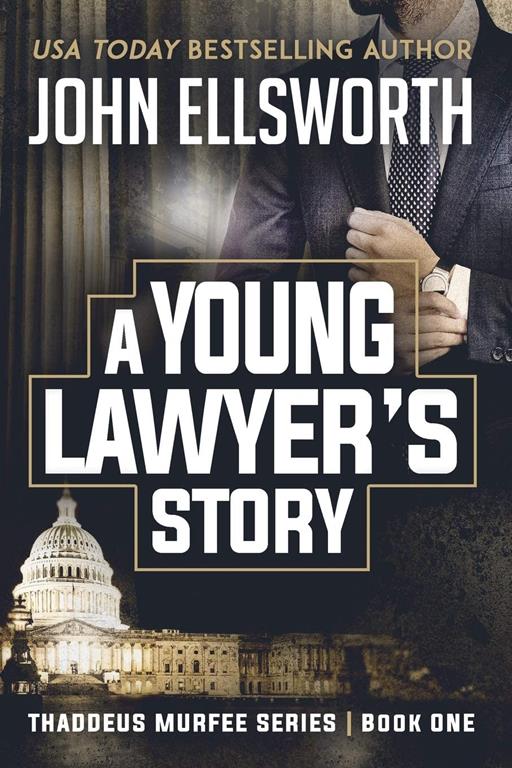 A Young Lawyer's Story (Thaddeus Murfee Legal Thrillers)