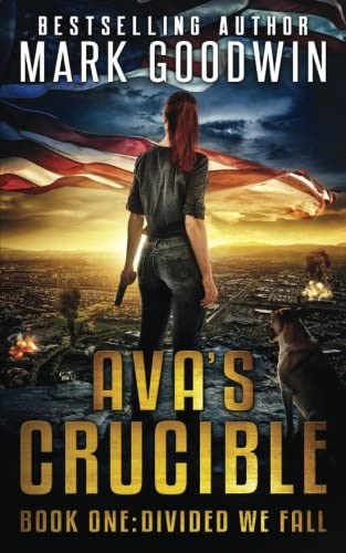 Divided We Fall: A Novel of the Coming Civil War in America (Ava's Crucible)