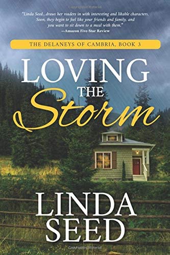 Loving the Storm (The Delaneys of Cambria) (Volume 3)